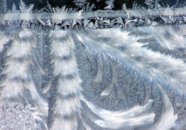 frost makes a pattern resembling fur and feathers