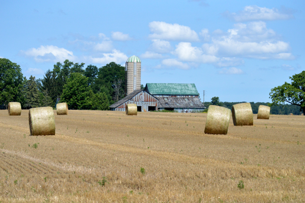 Classic Rural View